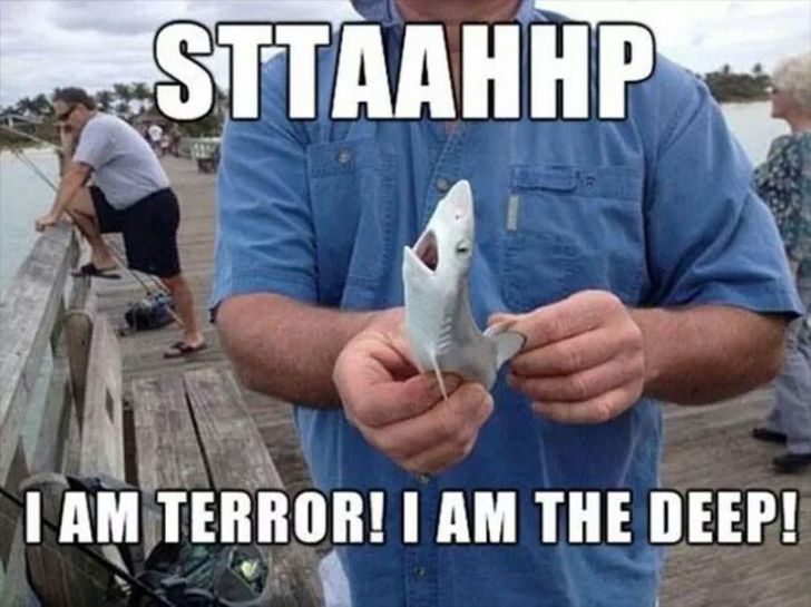 Shark Week, commence!