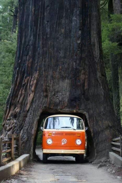 Volkswagen van for scale