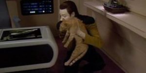 Data, The Cat Whisperer
