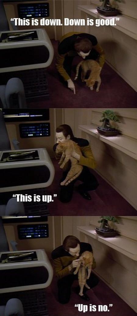 Data, The Cat Whisperer