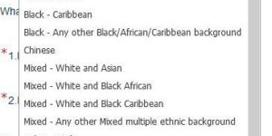 The most detailed ethnicity drop-down menu I’ve ever seen in the US.
