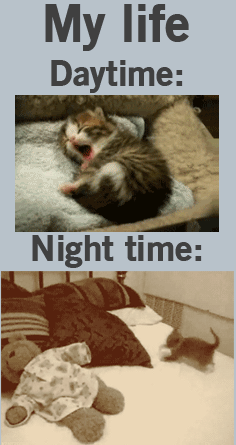 My life: Daytime vs. Nighttime.