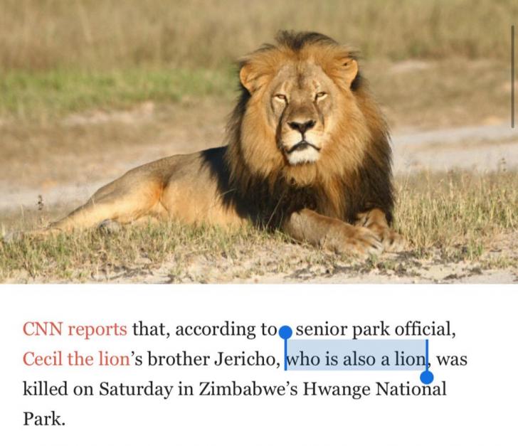 Cecil the Lion's brother....