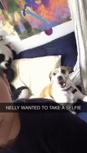Nelly want to take a selfie!