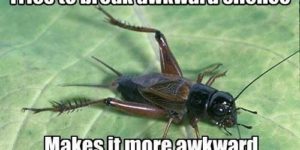 Cricket world problems.