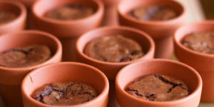 Amazing pot brownies.