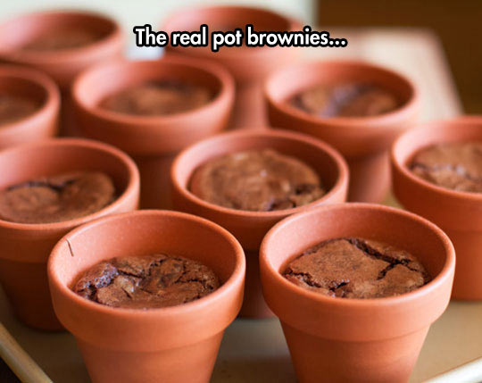 Amazing pot brownies.