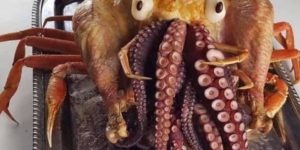 All Hail Cthulu Turkey.