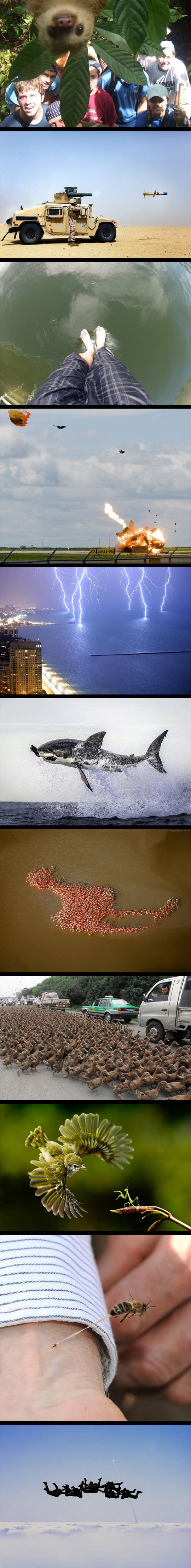 The perfect moment.
