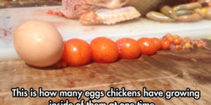 And now you know.