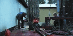 Cutting a tree like a boss