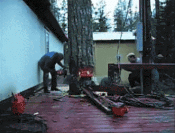 Cutting a tree like a boss