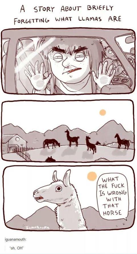 What a weird horse