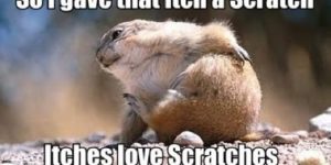 Itches love scratches.