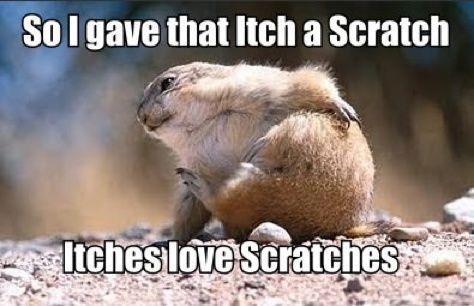 Itches love scratches.