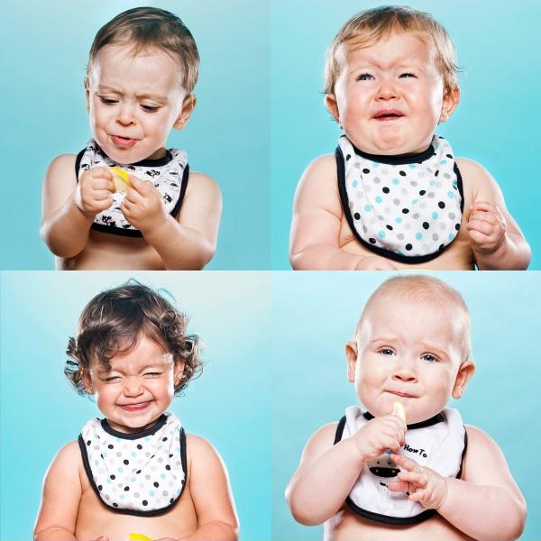 Babies eating lemons.