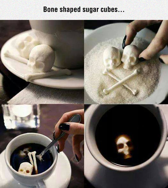 Bone shaped sugar cubes