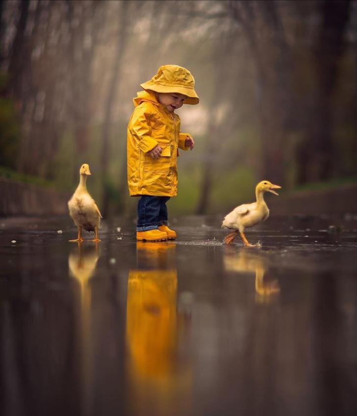 Just a couple of ducks out in the rain...