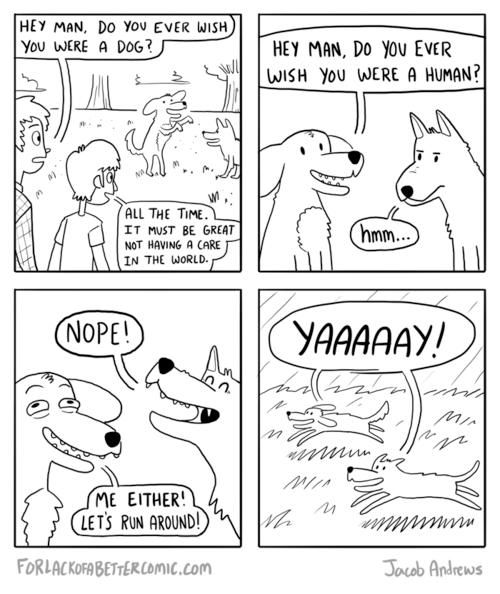 Do you ever wish you were a dog?