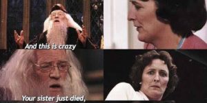 Dumbledore Is The Biggest Troll