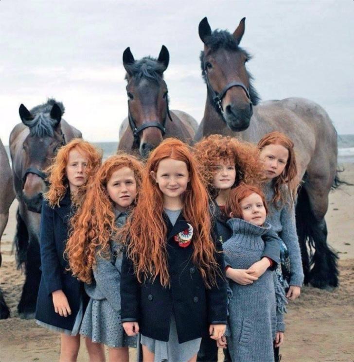 This Photo is aptly called "The Beauty of Ireland"