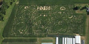 There’s a Super Mario-themed corn maze and I want to go