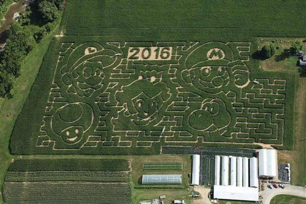 There's a Super Mario-themed corn maze and I want to go