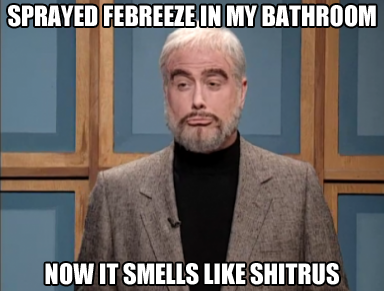 Using Febreeze in the bathroom...