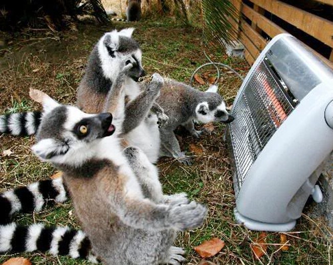Praise be to the heater gods!