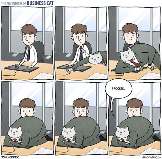 The Adventures of Business Cat