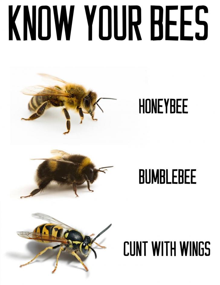 Know the difference