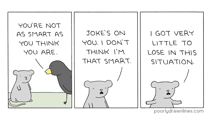 Koala bear is not smart.