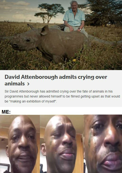 David Attenborough is a human among humans.