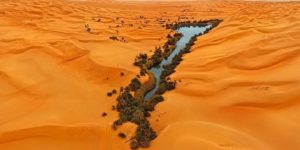 Oasis in Libya