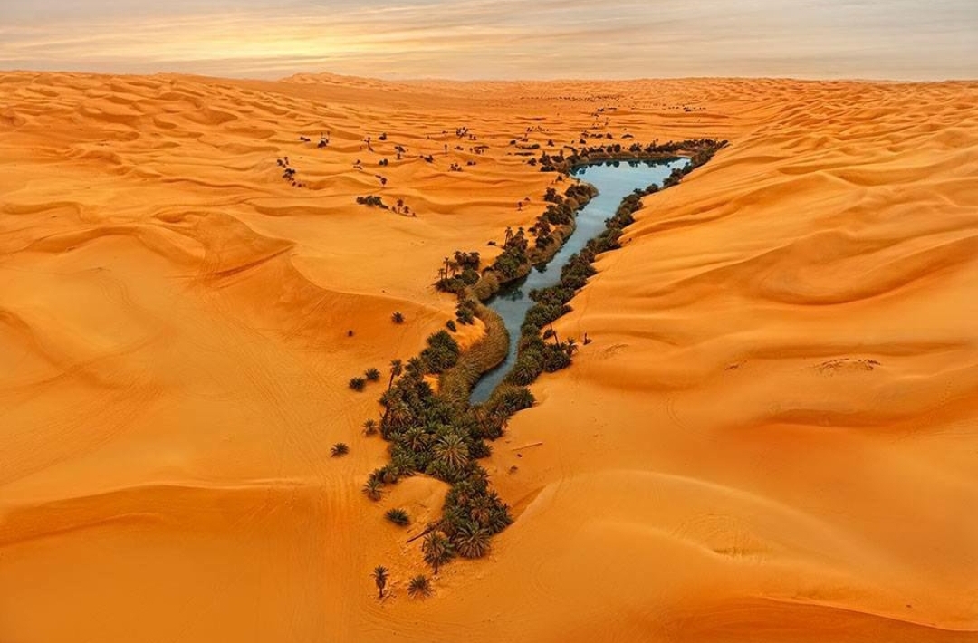 Oasis in Libya