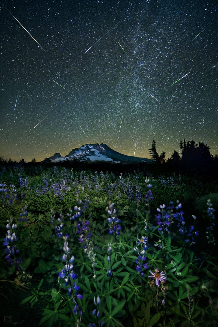 The Perseid meteor shower over Mt. Hood