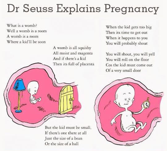 Dr, Suess explains pregnancy