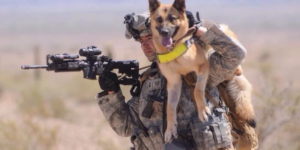 Standard issue shoulder mounted K9