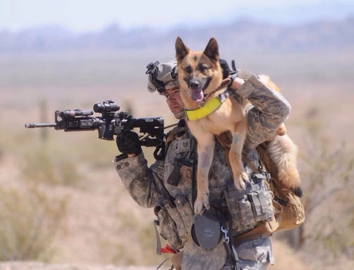 Standard issue shoulder mounted K9