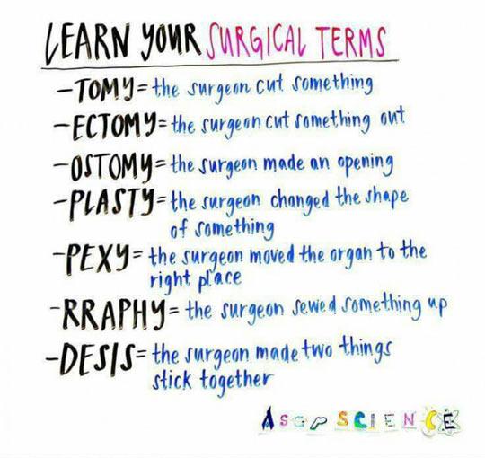 Learn your surgical terms