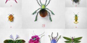 Insects made of plants and flowers, by Japanese artist Raku Inoue
