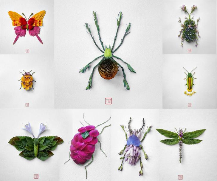 Insects made of plants and flowers, by Japanese artist Raku Inoue