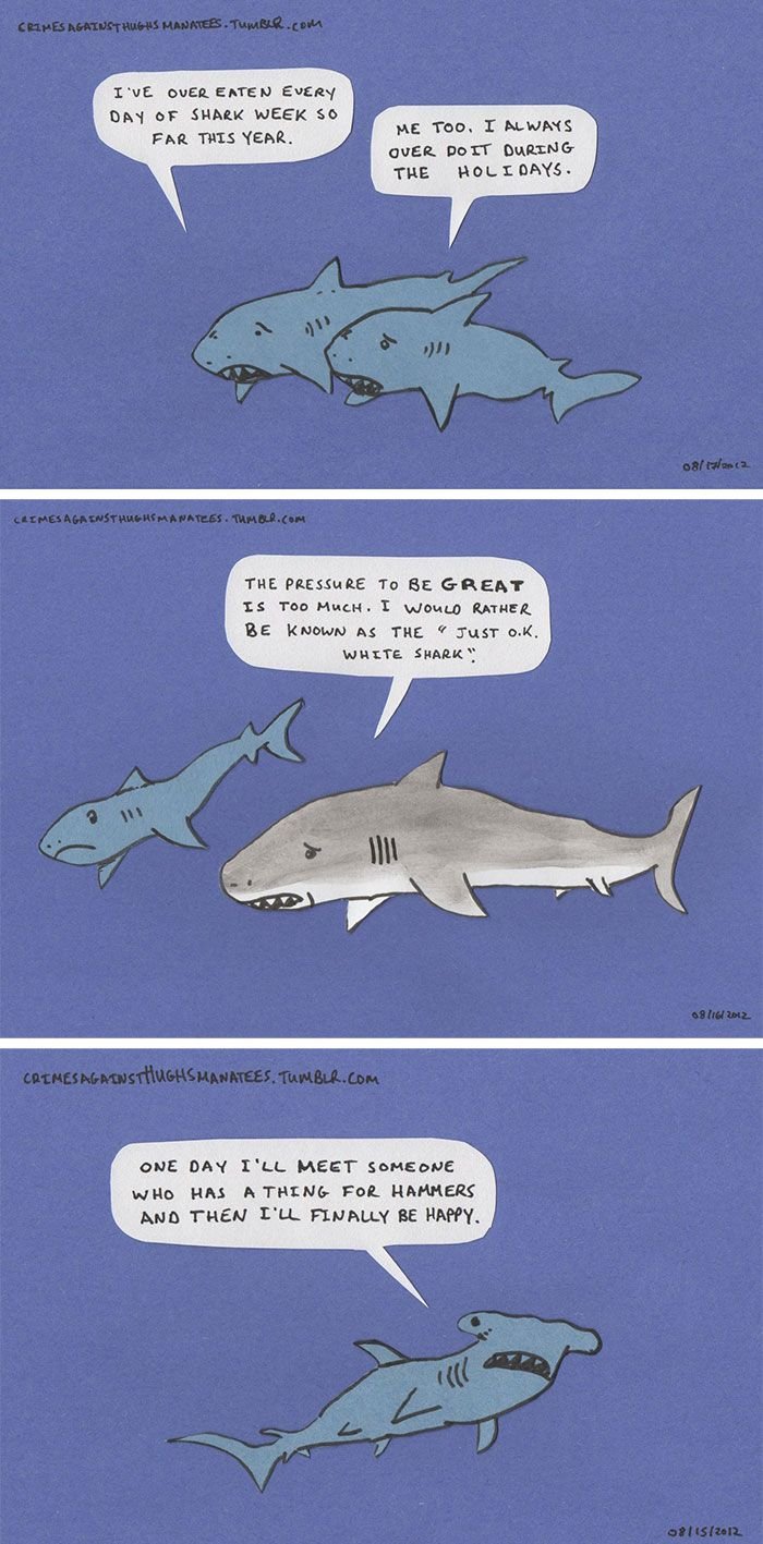 Happy Shark Week!