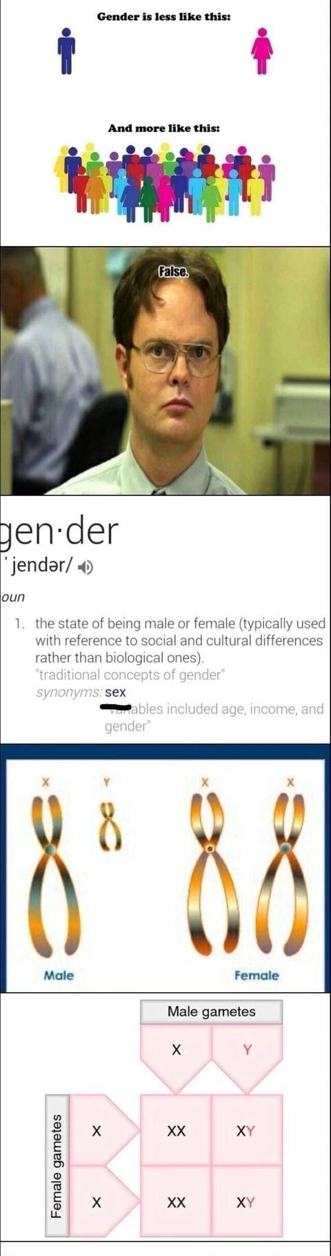 Gender