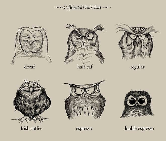 Coffee Owls