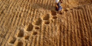 These steps are so steep, they’re sideways