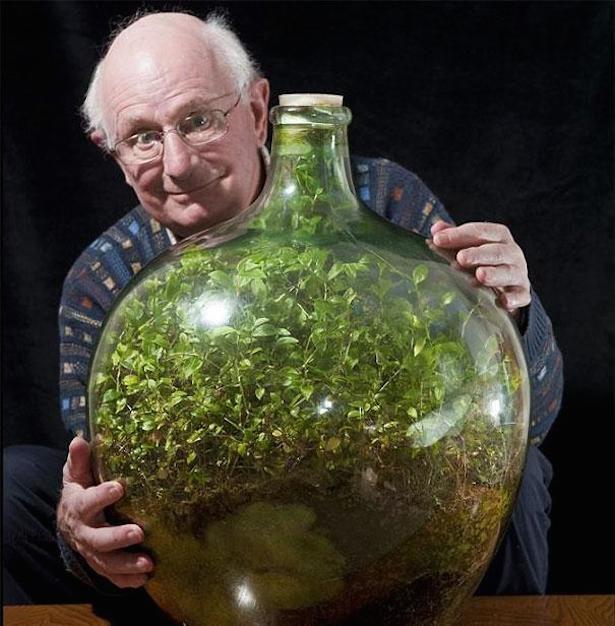 This guy created a self-sustainable plant-in-a-huge-jar project that grew for 40 years inside the jar without opening it.