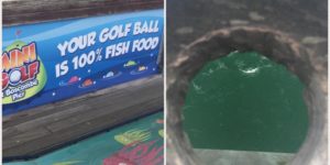 The golf balls at the mini golf on this pier are biodegradable and fall into the sea at the 18th hole
