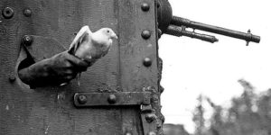 Tactical pigeon being released from a tank with a message during World War One