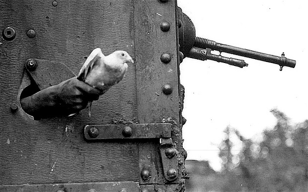 Tactical pigeon being released from a tank with a message during World War One